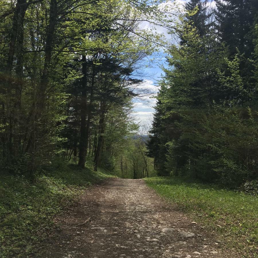 Gite La Janiat Montigny-sur-l'Ain Exterior foto